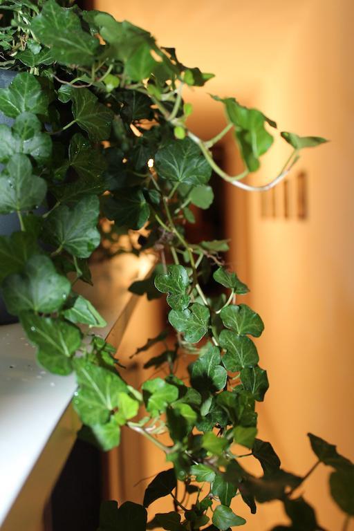 Bed and Breakfast Beautiful Life Palermo Exteriér fotografie